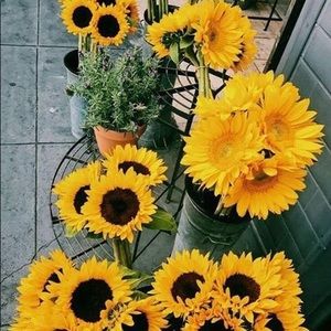 Meet your Posher, Karla